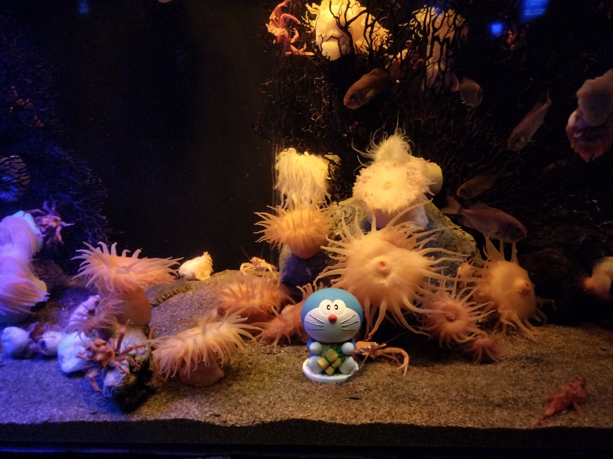 みいご tweet media