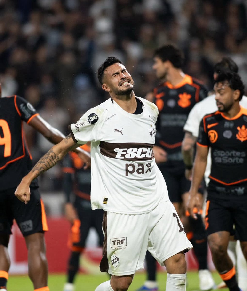 elretornocalamar⭐️ tweet media