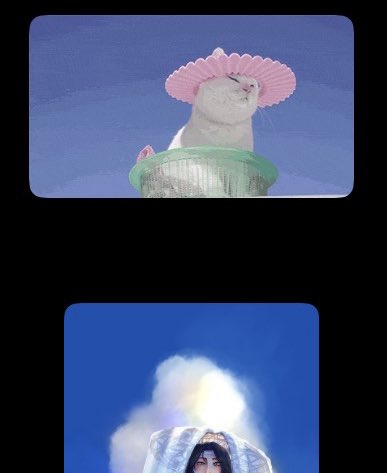 🥮 Lychee 🍉 on bsky 🦋 tweet media