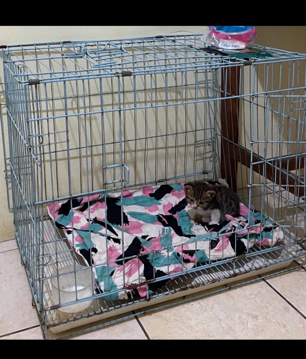 Jasa bersih2 kos, sewa motor, titip barang, dll🤗 tweet media