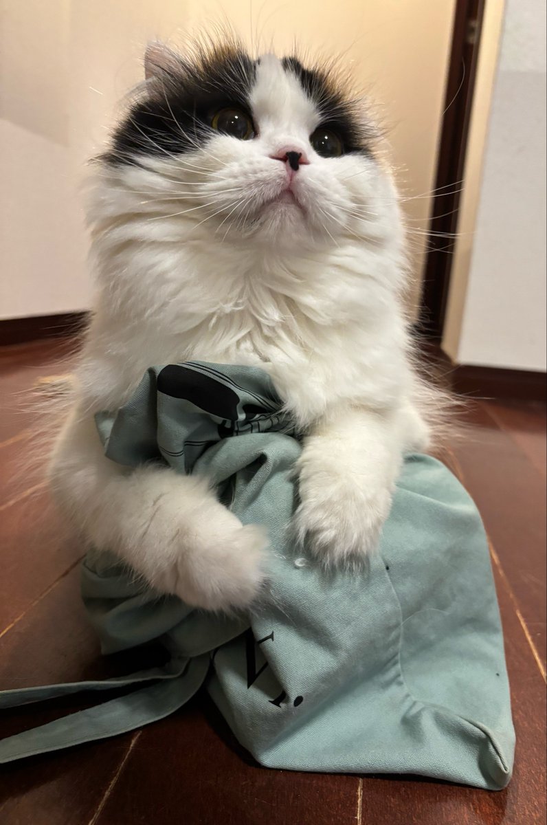 キムチ母‼️ tweet media