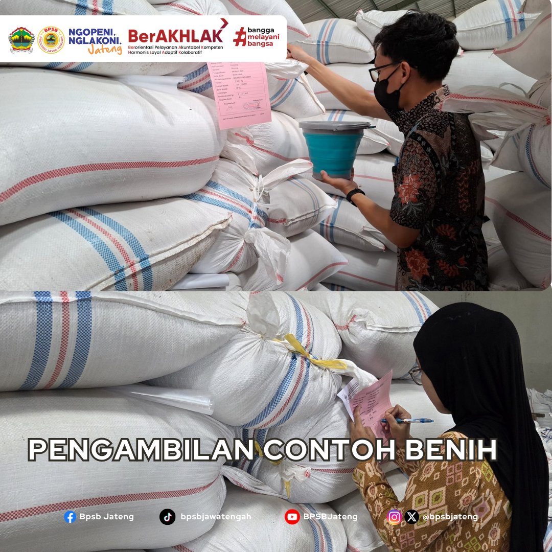 bpsbjateng's tweet photo. Kegiatan PBT SPPB Wil.Pekalongan, Kamis, tgl 9 April 2026,PCB padi di PB Ellya Tani, lokadi Gudang, Ambowetan, Comal,Pemalang, PCB pada 5 kelompok benih kelas benih BP, varietas
- Ciherang total 16.920 kg
- Mekongga total 14.640 kg https://t.co/6vMbqqnIRL