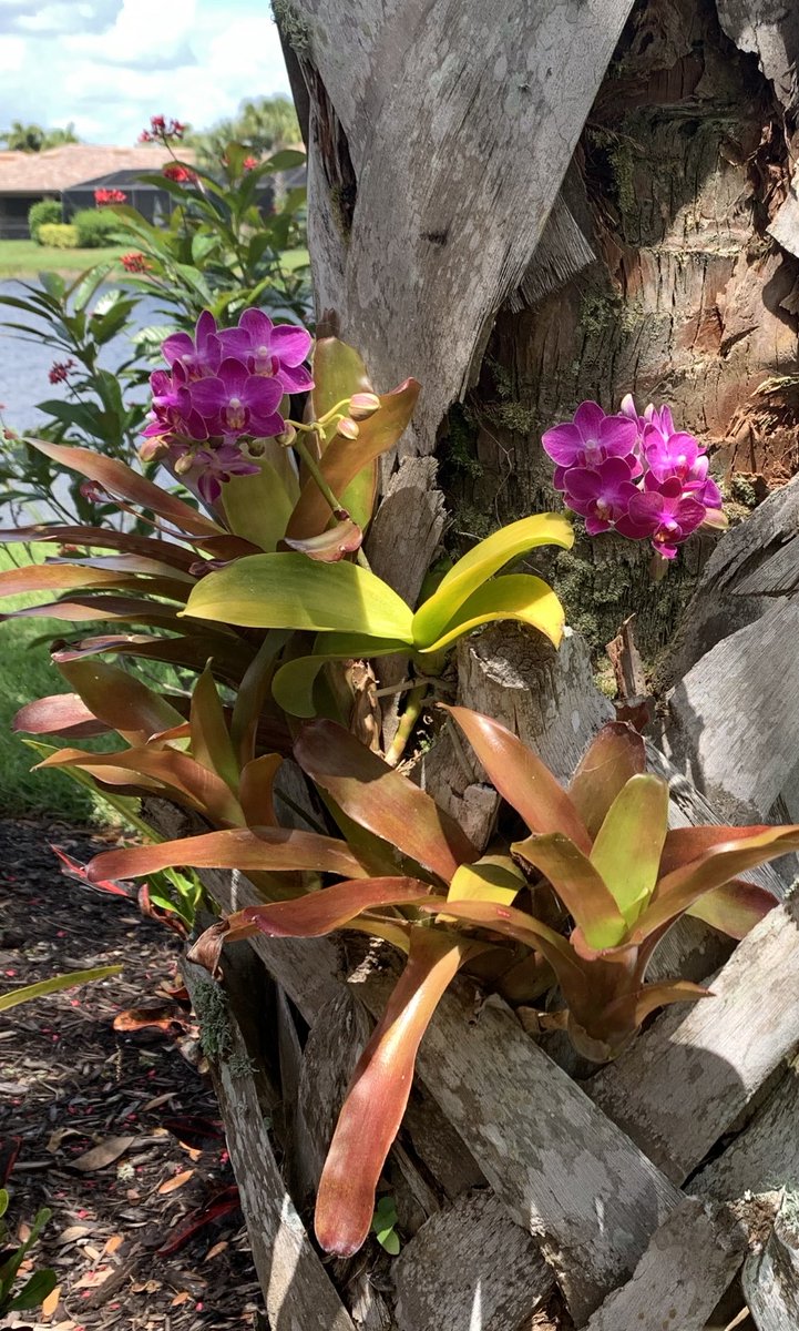 Retired Coffee Corner🥏 tweet media