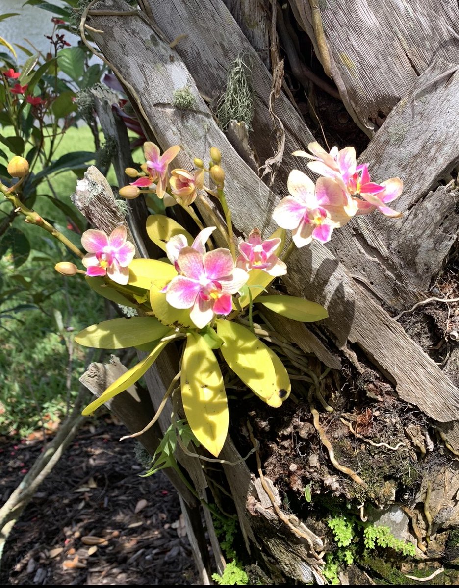 Retired Coffee Corner🥏 tweet media