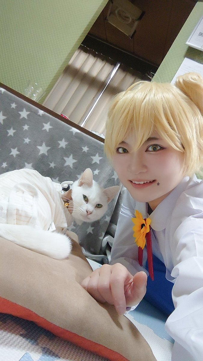 丸望やんす tweet media