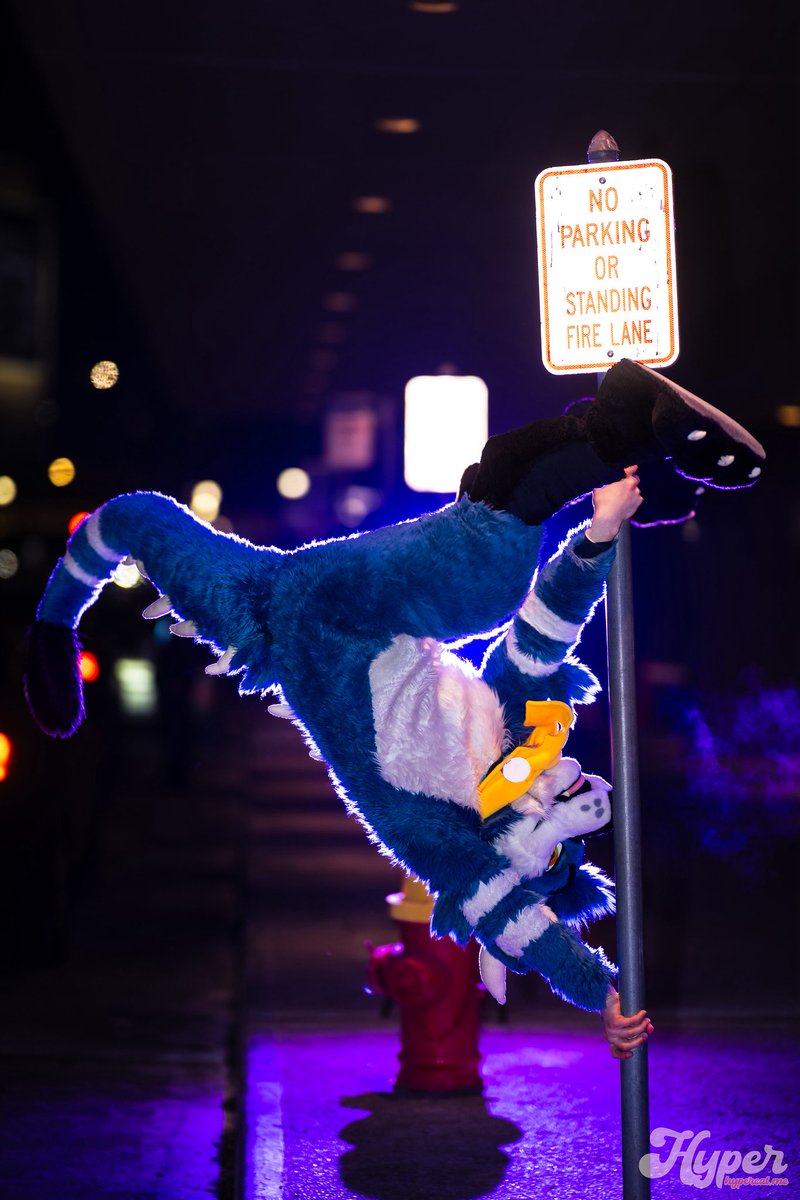 dirdwolf @ lvfc tweet media