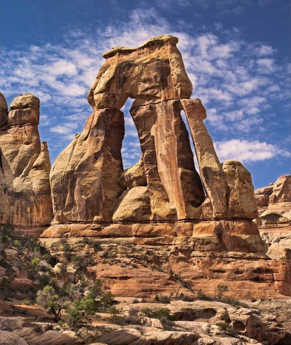 Daniel7:25(Script.)🙏 tweet media