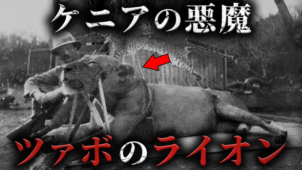 100人以上が犠牲になった悪魔ツァボの人食いライオン事件がヤバすぎた...。【 動物事件 アフリカ 】

youtu.be/G1Ncae9_Gzg