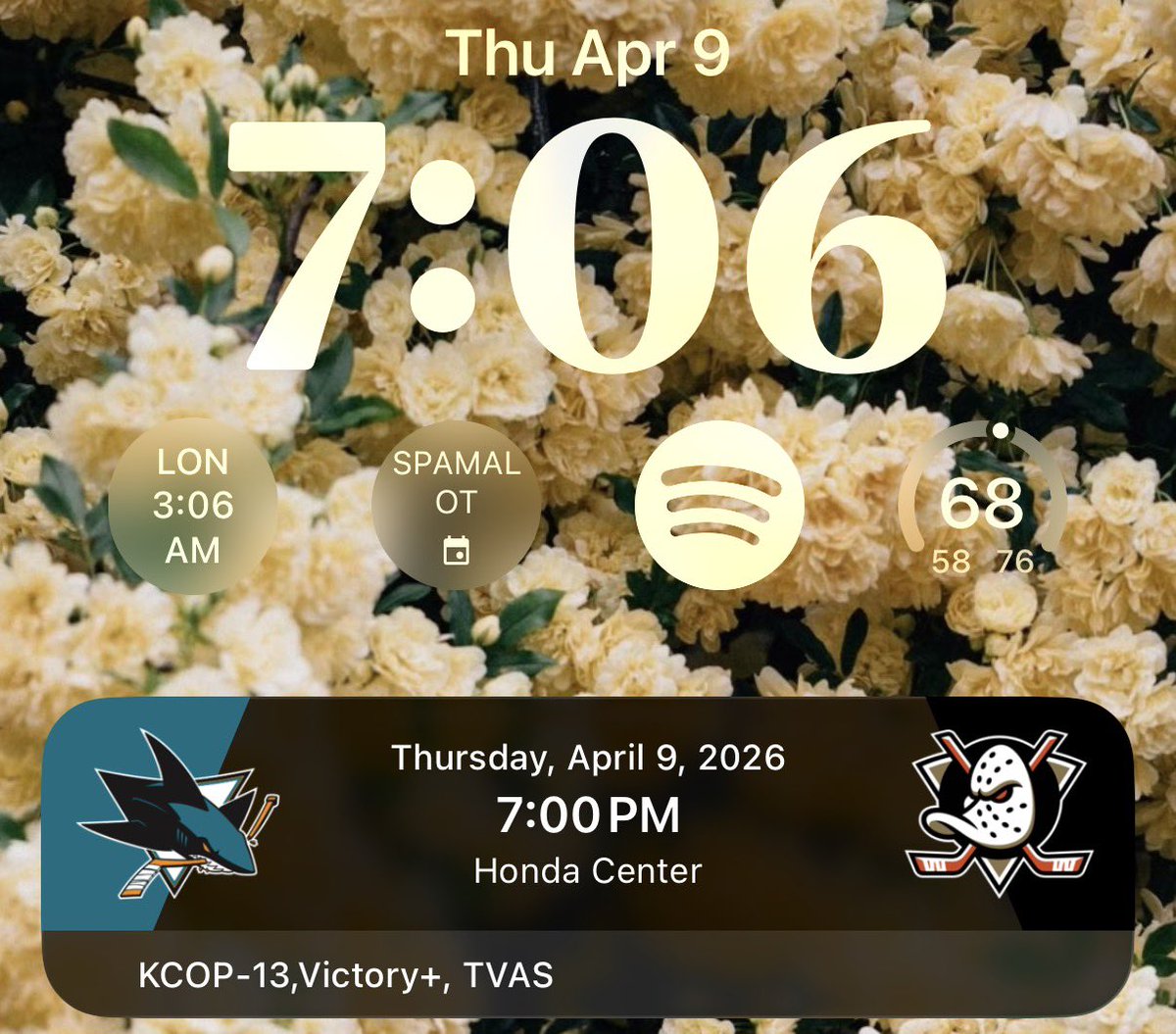 mel⁸¹ tweet media