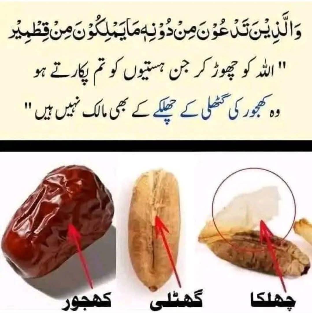 Hafsa Sajjad tweet media