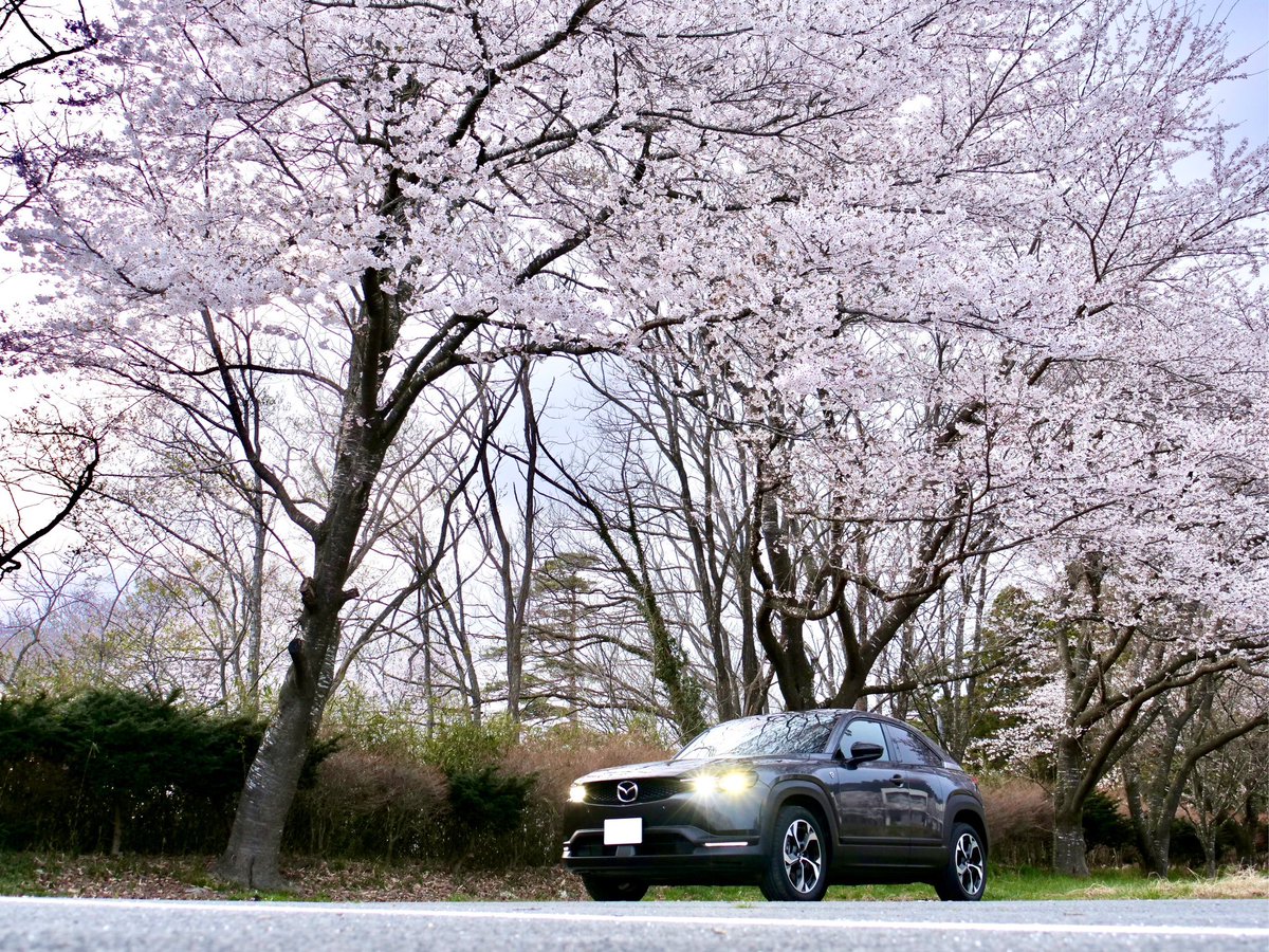 mossfe3's tweet image. 桜とMX30REV
横写真バージョン
#mazda
#mx30
#REV
#桜