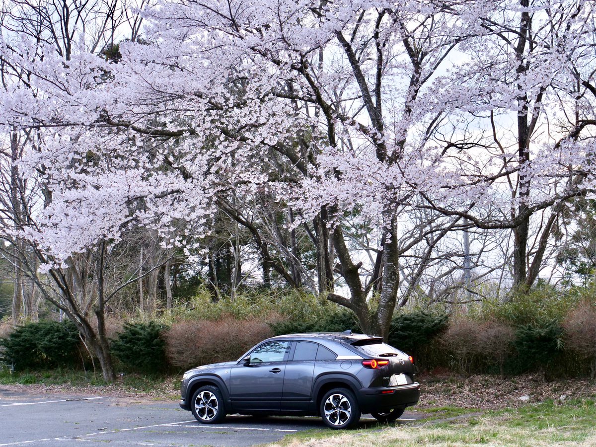 mossfe3's tweet image. 桜とMX30REV
横写真バージョン
#mazda
#mx30
#REV
#桜