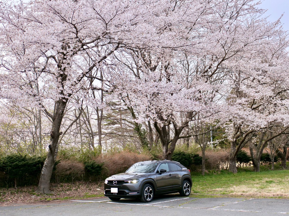 mossfe3's tweet image. 桜とMX30REV
横写真バージョン
#mazda
#mx30
#REV
#桜