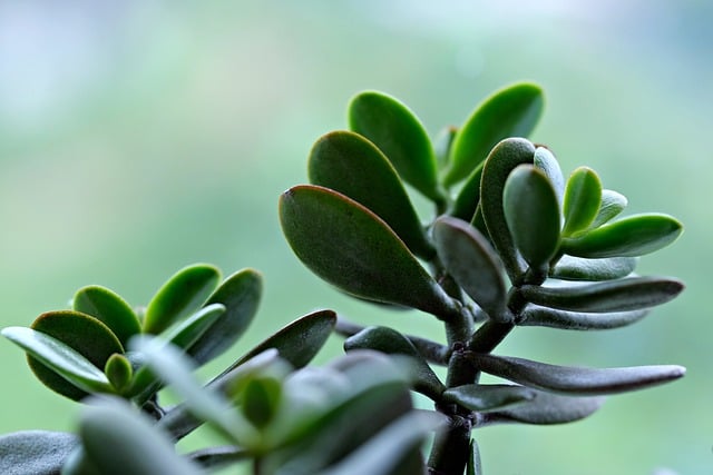 Miguel Clark tweet media