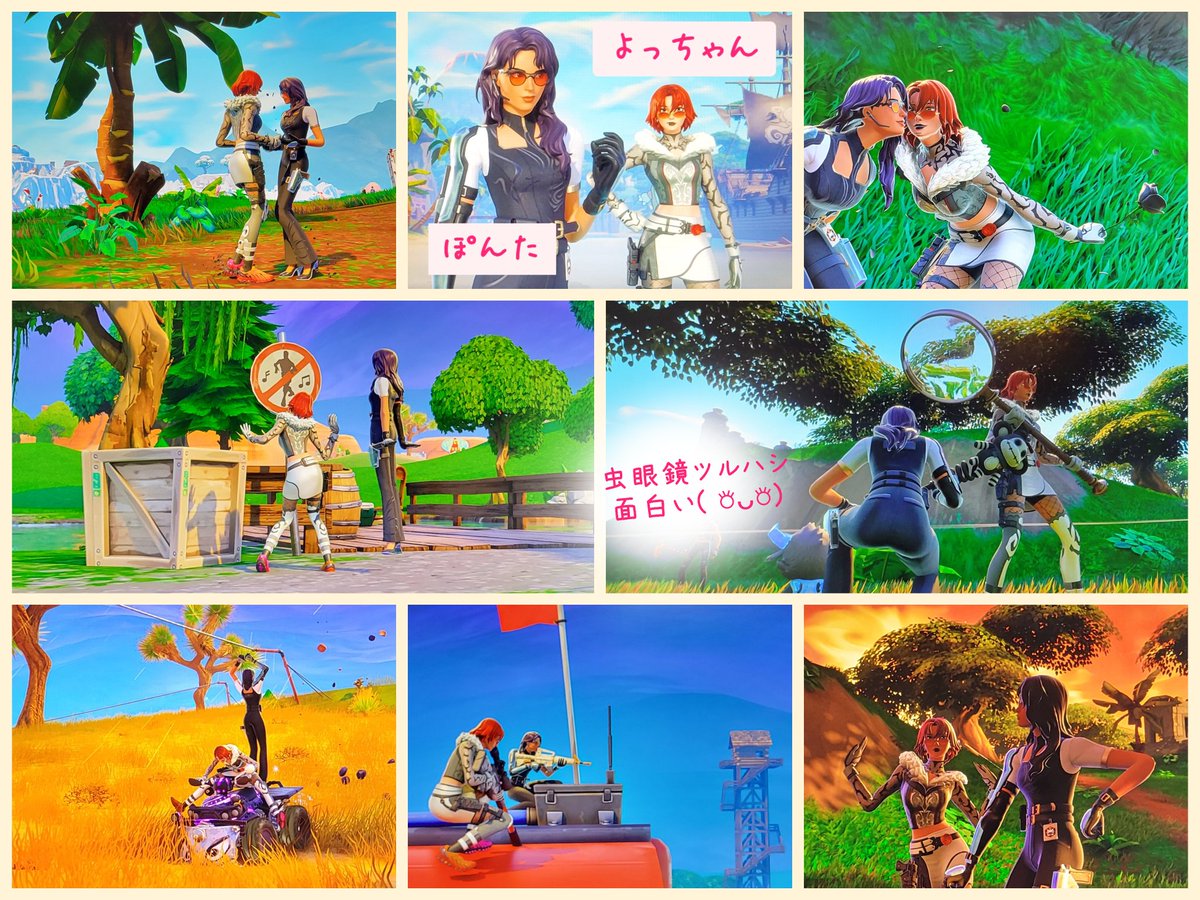 ころころポン太🏡 tweet media