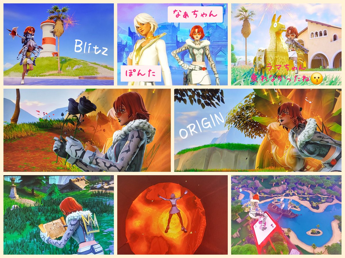 ころころポン太🏡 tweet media