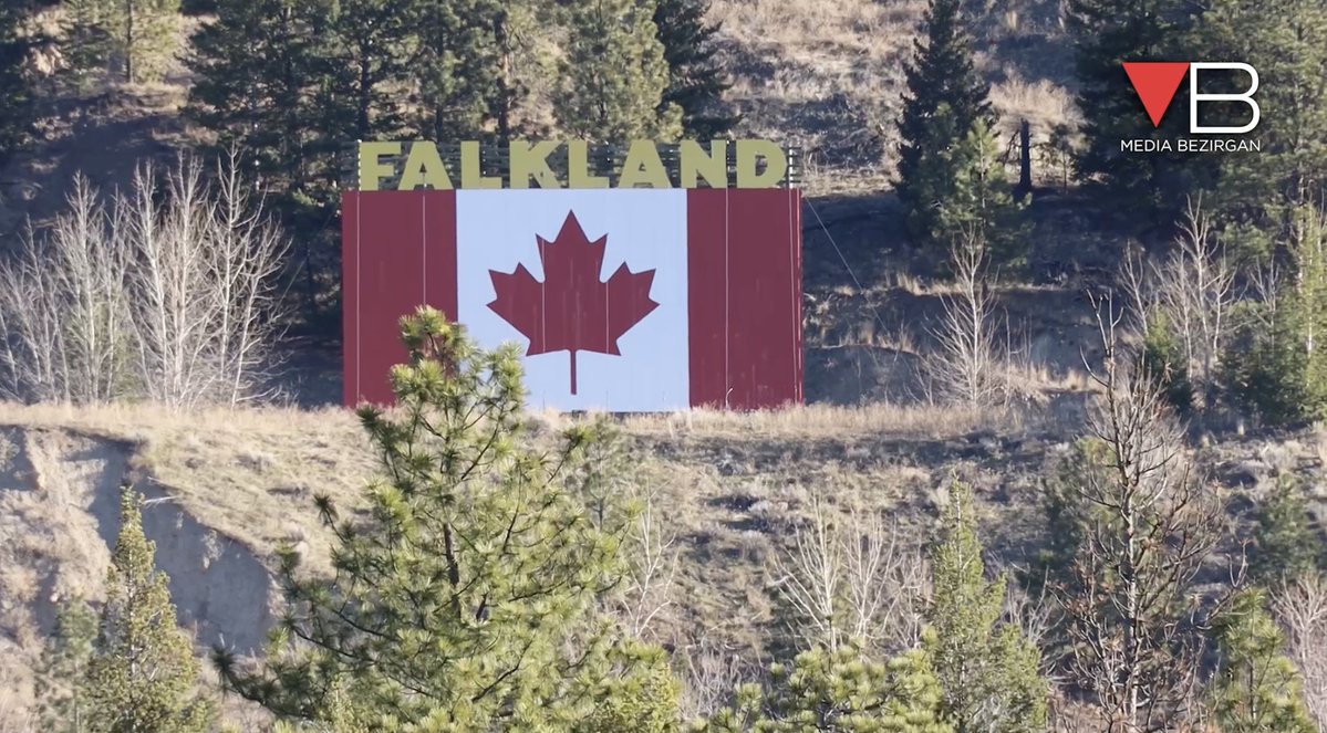 Mocha Bezirgan 🇨🇦 tweet media