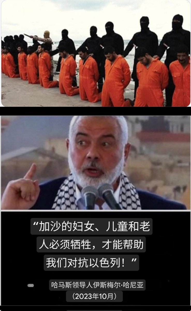 哎乌03❤🇺🇸🍊💯❤ tweet media