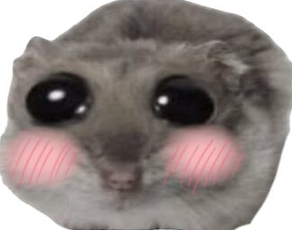 NooviusVT ⚜️ tweet media