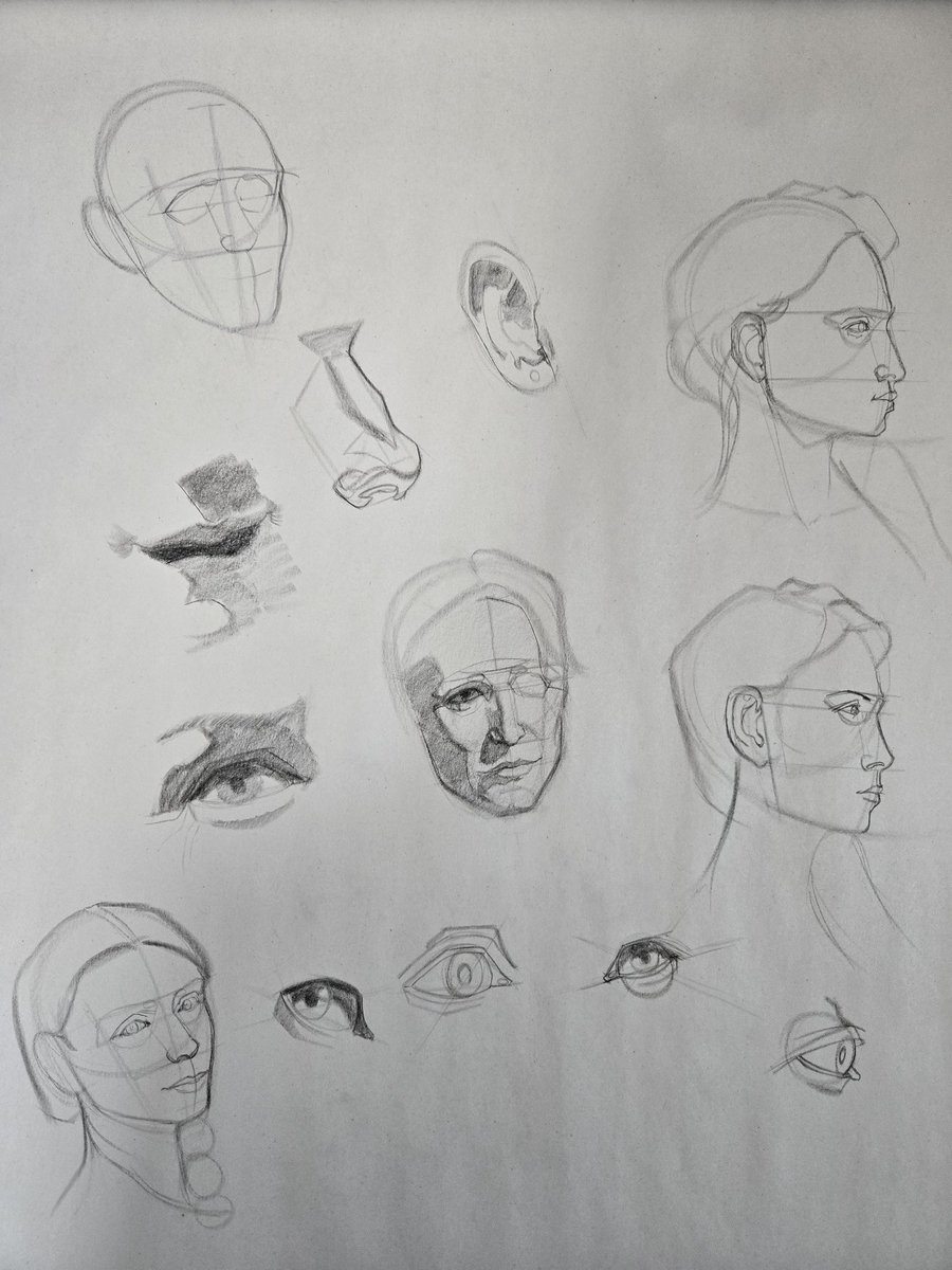 SeraphinaeWorks's tweet photo. Did some head and feature studies today. #ArtStudy #HeadDrawing #QuickSketch https://t.co/pfXIxqkTSp