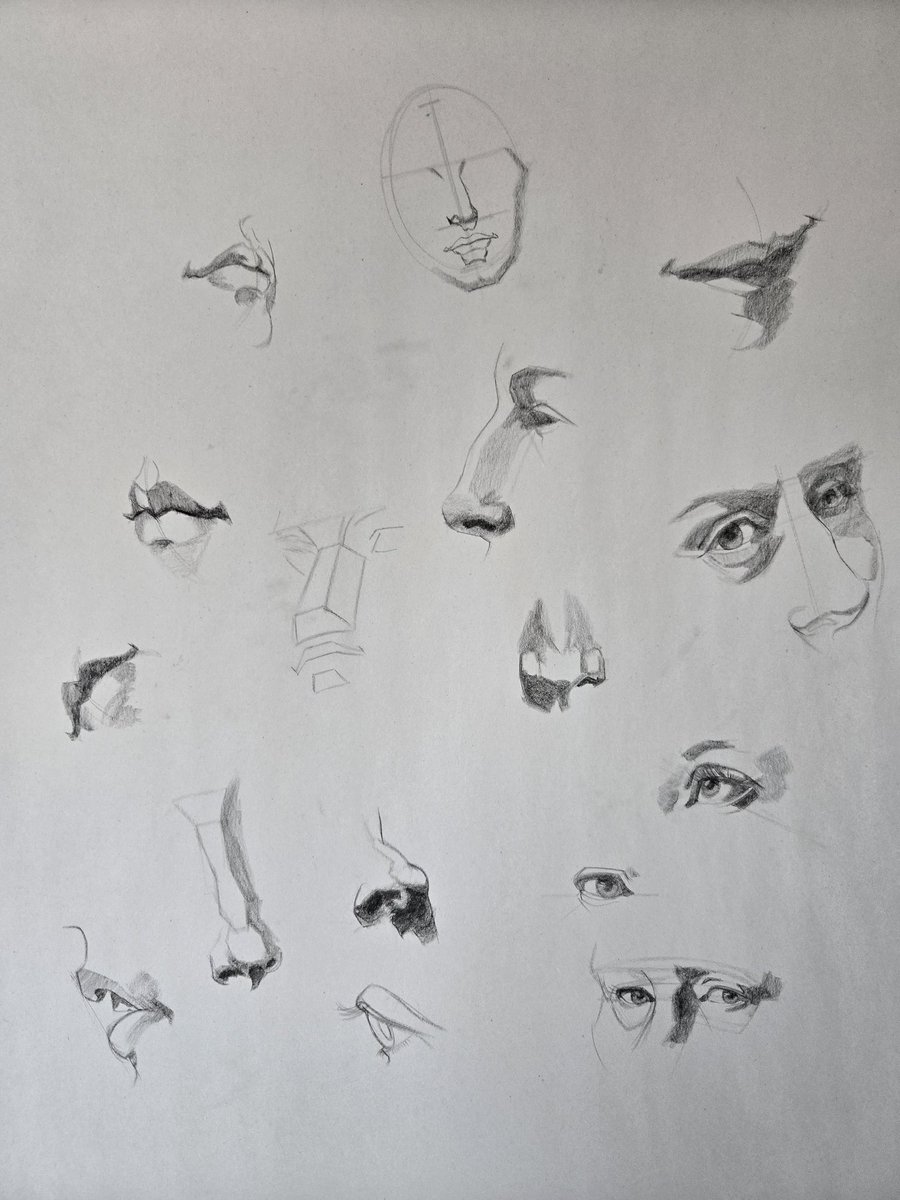 SeraphinaeWorks's tweet photo. Did some head and feature studies today. #ArtStudy #HeadDrawing #QuickSketch https://t.co/pfXIxqkTSp