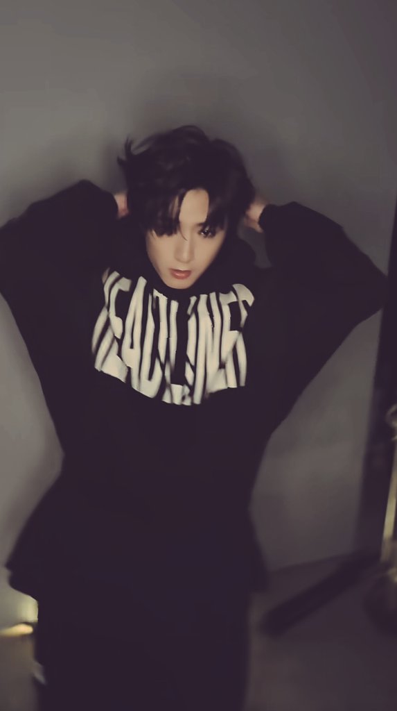 铆钉犬 tweet media