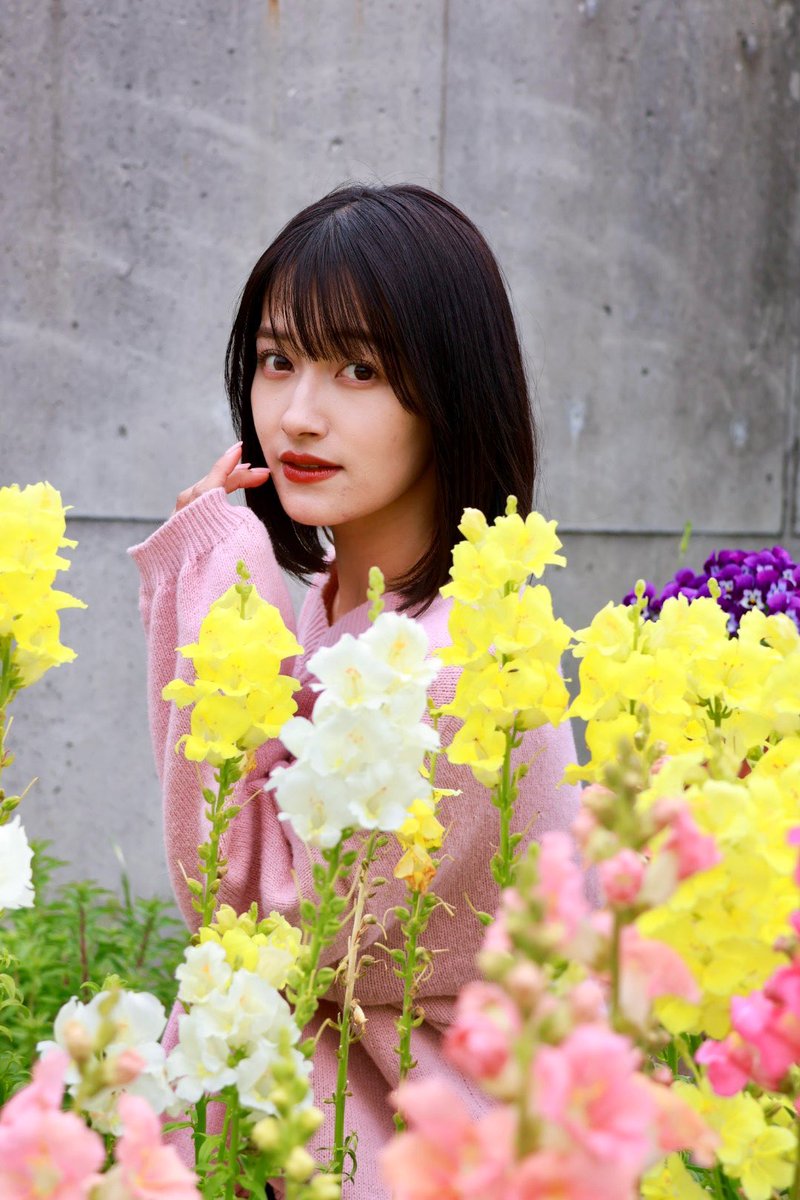 icorp5's tweet photo. 2026年4月4日(土)
ことり撮影会
桜ポートレート撮影会 in 海の中道海浜公園

yuuka（@yuuka_cotori_xx ）さん https://t.co/uy3ReAH15Z