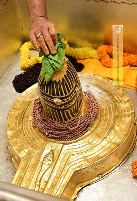 eOrganiser's tweet image. Today’s Mangala Aarti Darshan at Shri Kashi Vishwanath Mandir, Varanasi, Uttar Pradesh.

#KashiVishwanath #Varanasi