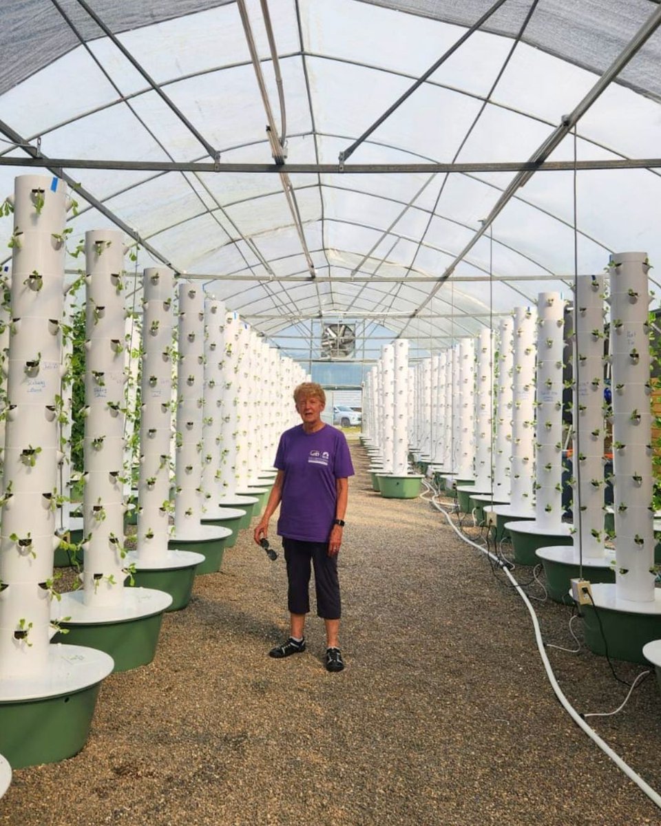 ACExperienceOrg's tweet photo. We absolutely adore our faithful servant of ACE, the Awesome Arlene! She’s always up for whatever tasks we throw her way, including working on our aeroponic towers! 🌱

#FarmLife #Aeroponics #VolunteerSpotlight #AmericanCaribbeanExperience #Blessed https://t.co/dy9E4dQEnH