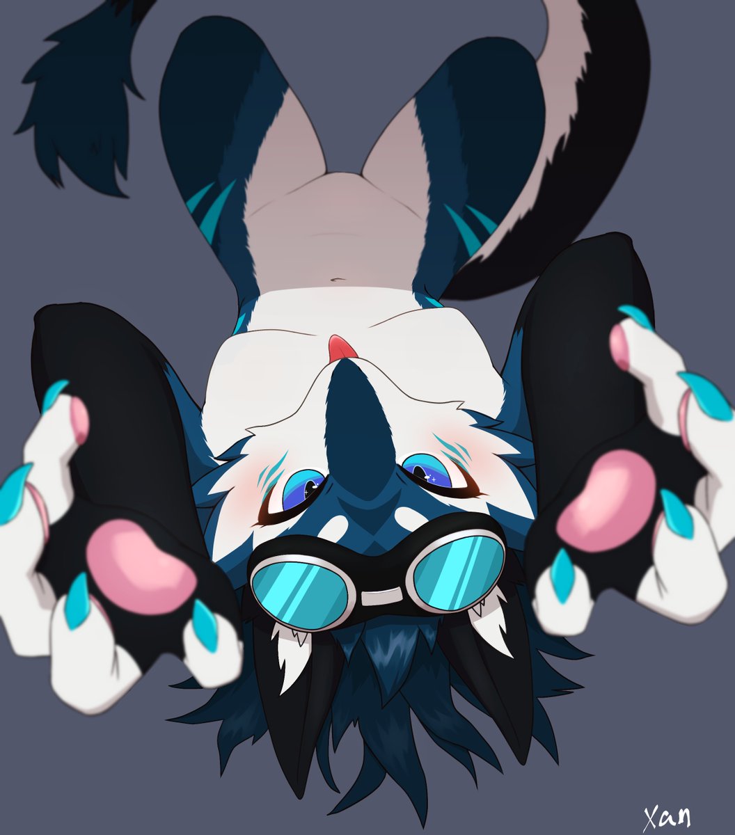 🧼𝕏an🧼@ざん tweet media