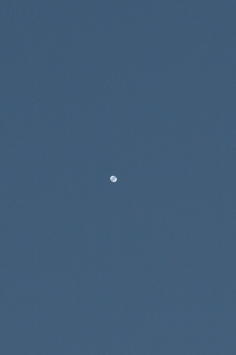 pleb_alchemy's tweet photo. @InterstellarUAP I photographed this orb above west Texas last October.

See next set of photos as well. I took a picture of the moon that was also in the sky for size reference. All photos at the same focal length on my dslr that I had on me.

@RyanDBledsoe https://t.co/aBg5P2jfQH