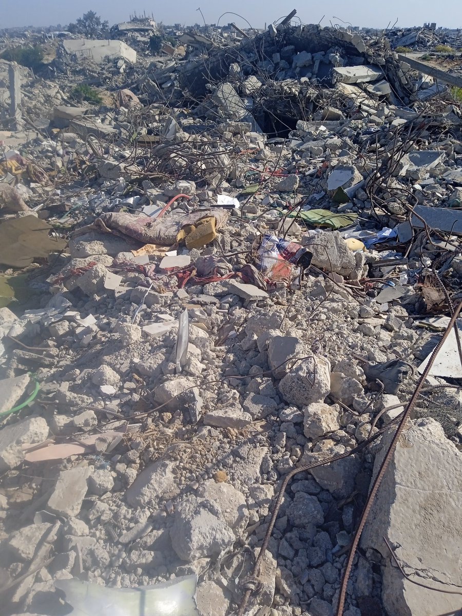 Olive 🌿 tweet media