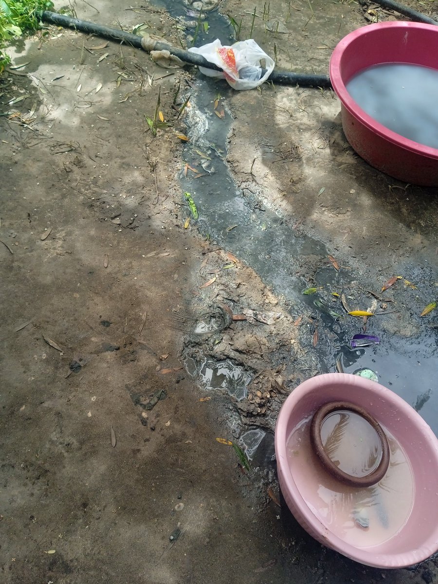 Olive 🌿 tweet media