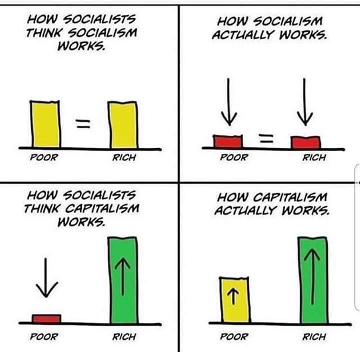 Enzo MacGregor tweet media