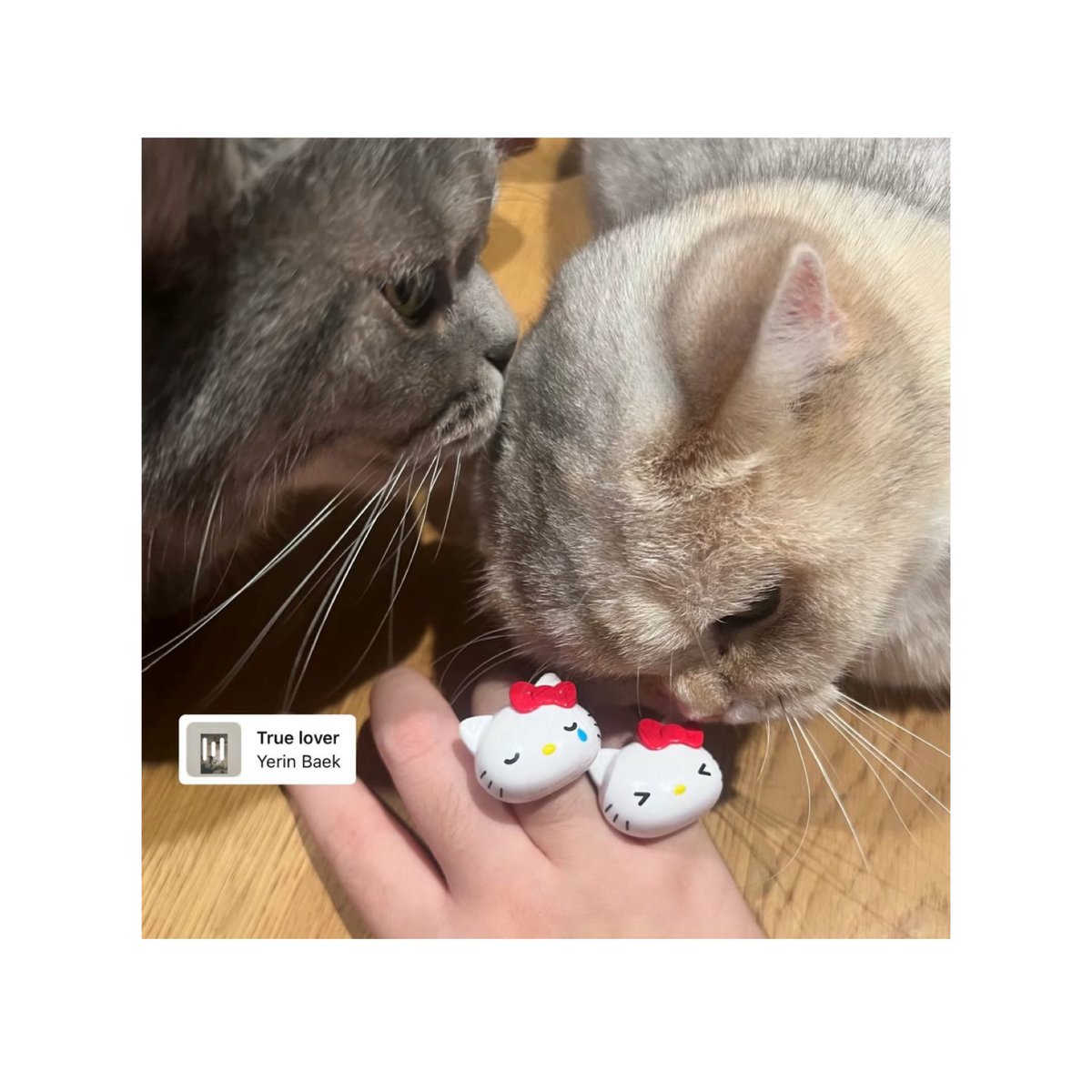 𝙚𝙖𝙧𝙣𝙘𝙝𝙖𝙮𝙖𝙥 — 𝘱𝘬𝘵𝘯𝘸 ˚ ⟡ tweet media