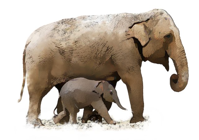 Marcus Arthurs tweet media