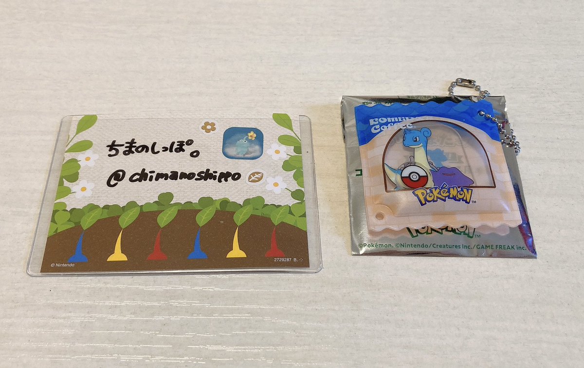 ちまのしっぽ。 tweet media