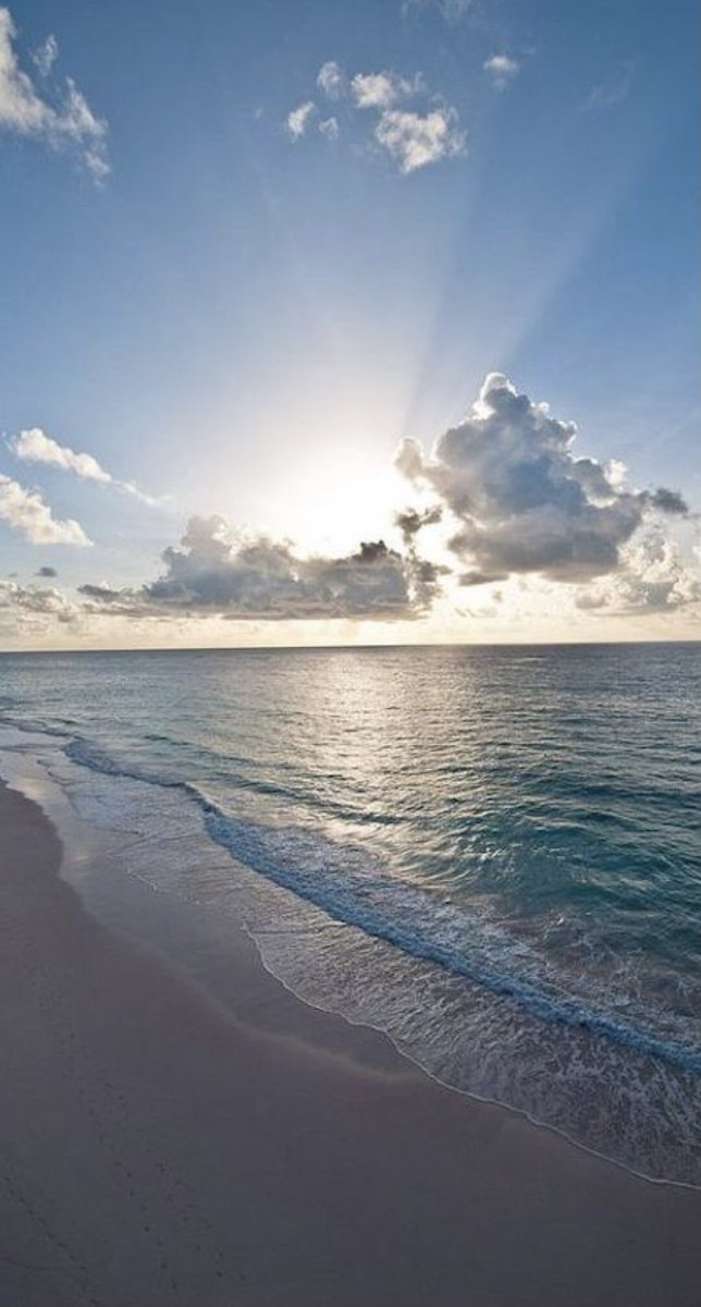 Aesthetics tweet media