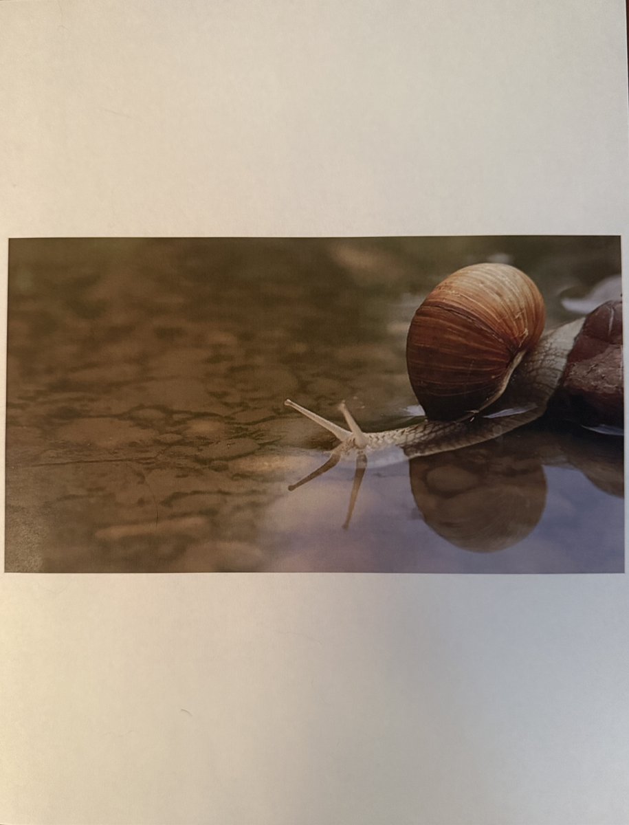 Astral🛸 tweet media