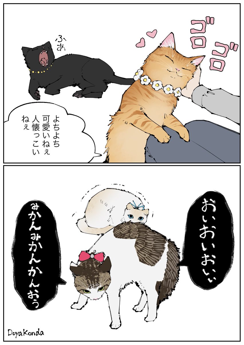 戸屋こんだ tweet media