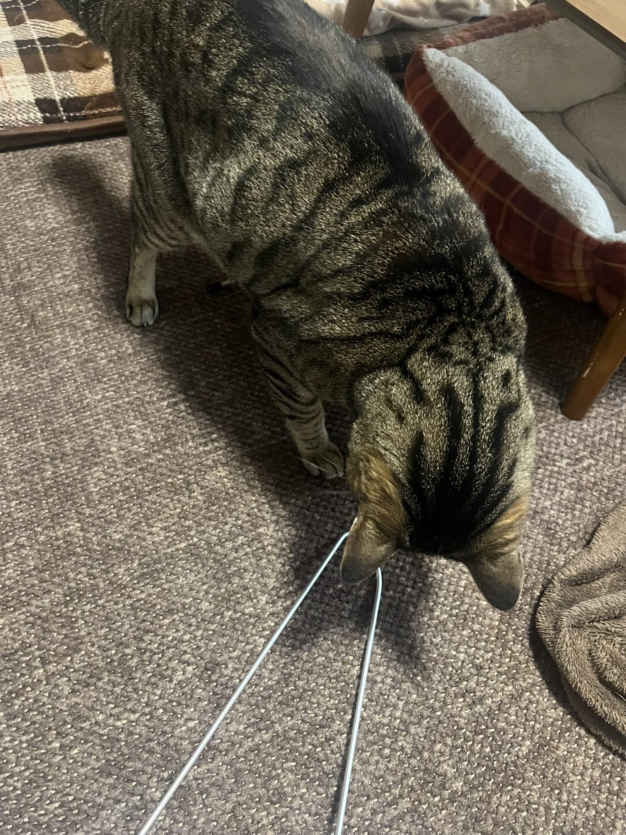 おばけクチュール tweet media