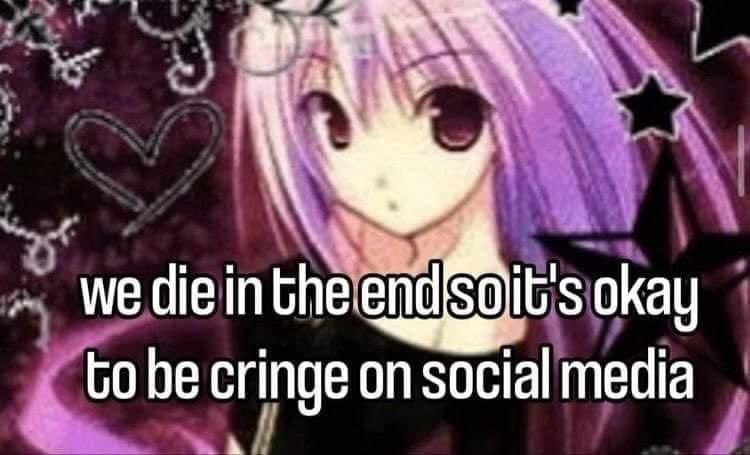 ۟꒰ঌ li ໒꒱ tweet media