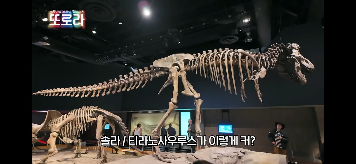 뽀송잉 tweet media