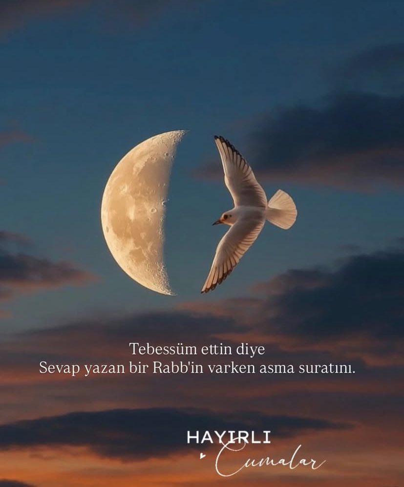 Feyza Demirtas tweet media