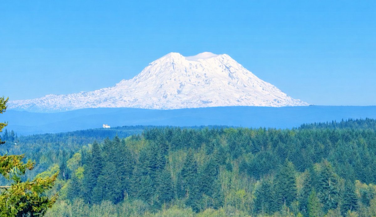 Sam Parker 🇺🇸🧯 tweet media