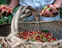 @ExnierGonzalez tweet media