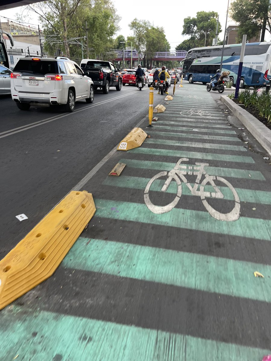 Ameyal Bicidente 🇵🇸 tweet media