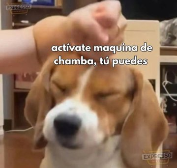 Pensamientos (@frasesimple) on Twitter photo 