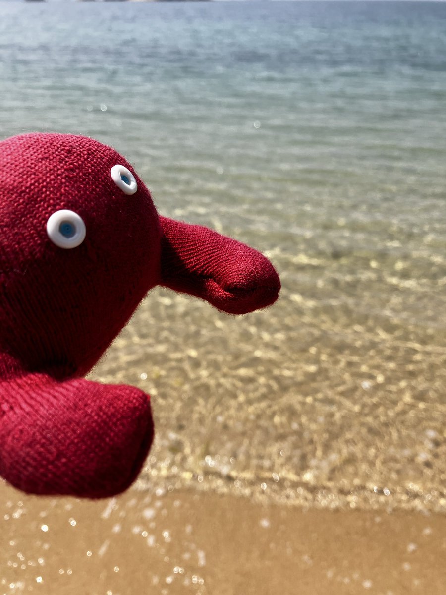 コンテックス株式会社【公式】 tweet media