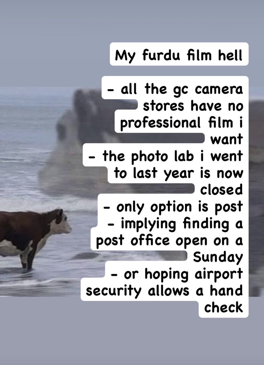 Giggs 🔜 FurDU tweet media